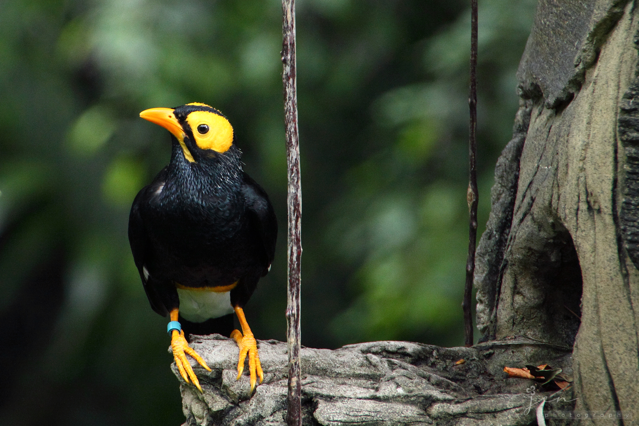 Hong Kong Park, Hong Kong
