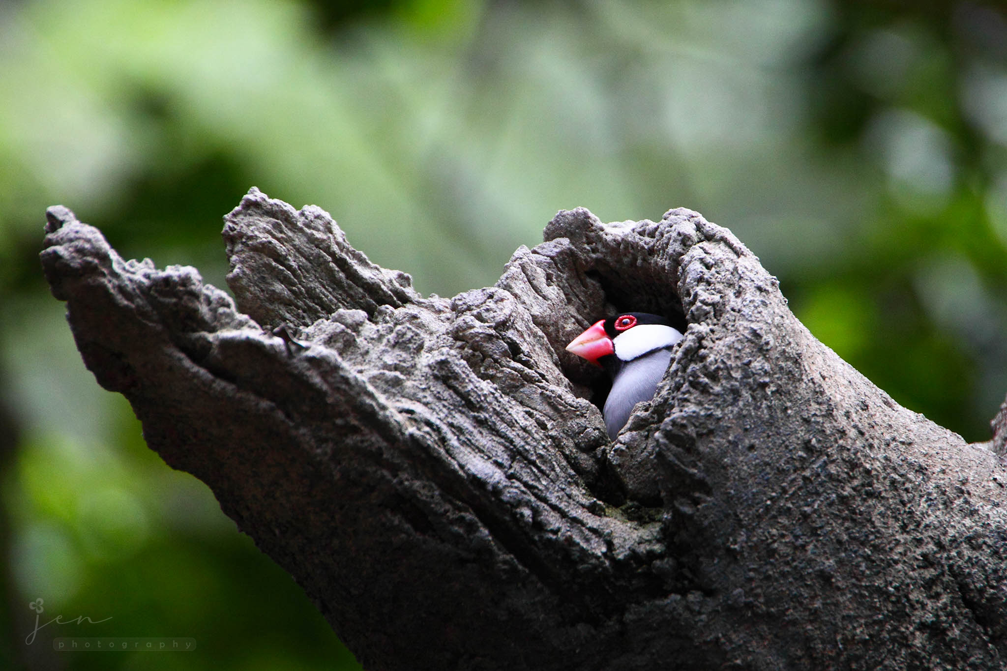 Hong Kong Park, Hong Kong