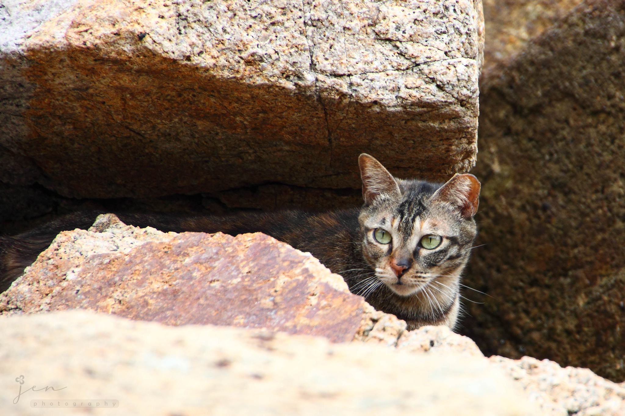 Tuen Mun Pier, Hong Kong