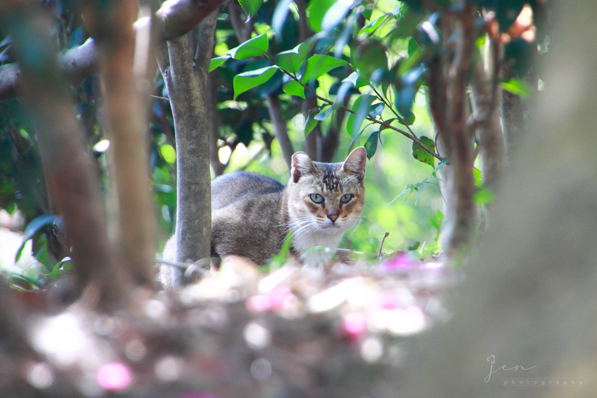 Lingnan University, Hong Kong