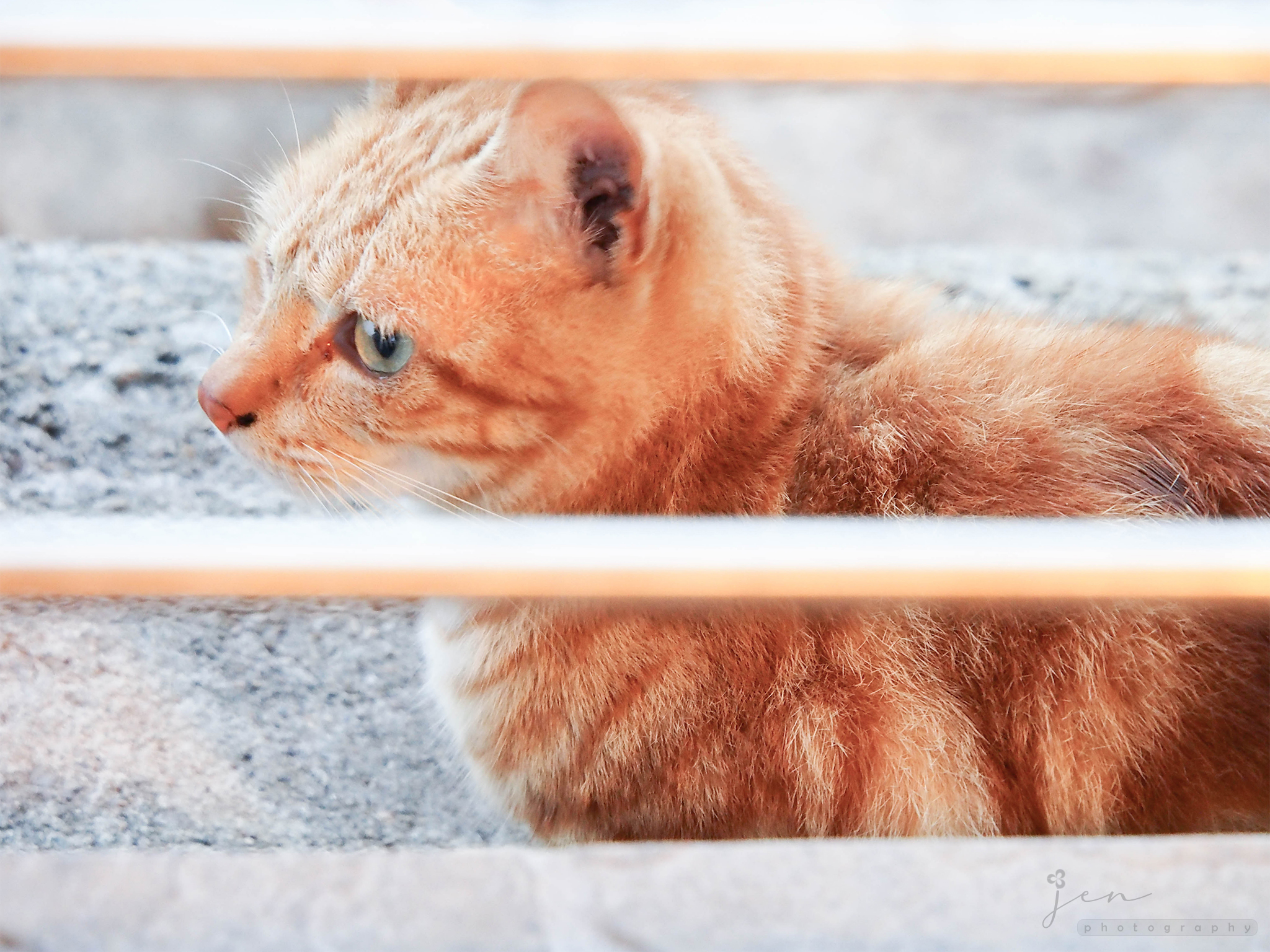 Tuen Mun Pier, Hong Kong