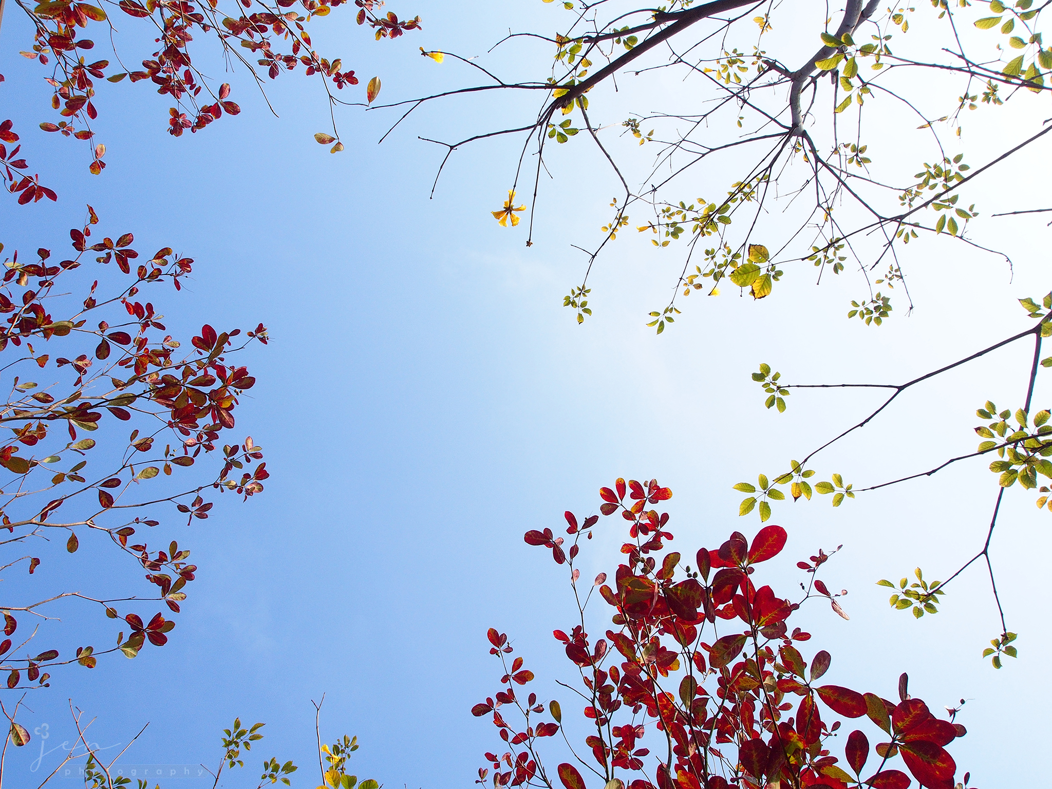 Kwun Tong Promenade, Hong Kong